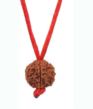 Astrodidi 6 Mukhi Rudraksha Pendant With Lab Certificate