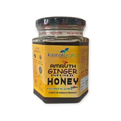 Amruth Ginger Infused Honey - 300 gm