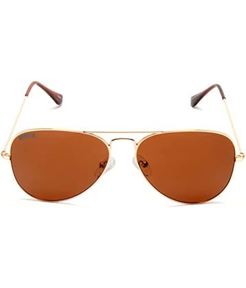 Roadies - Gold Panto Sunglasses ( Pack of 1 )