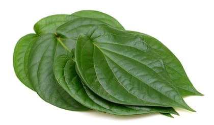 Betel Leaves - Paan Patta - 12 Pc