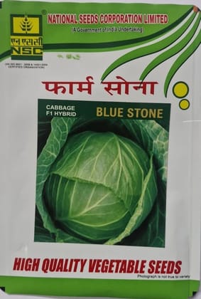 NSC Hybrid Cabbage Blue stone, 10gm