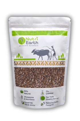 NutriEarth Flax seed 100 Gms