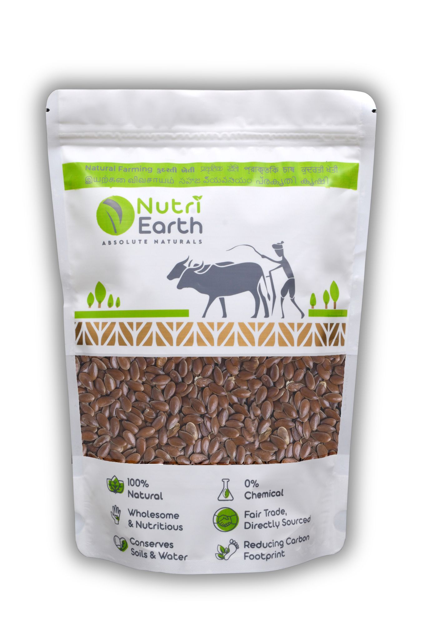 NutriEarth Flax seed 100 Gms