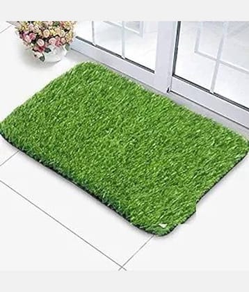 Revexo - Anti-skid Plastic Door Mat ( 40 X 60 cm ) Single - Green