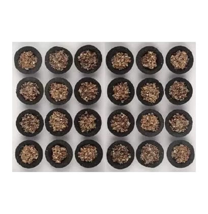 Pure Natural Guggal and Singapuri Loban Sambrani Dhoop Cups Combo, 24 Pcs Box with Holder Plate