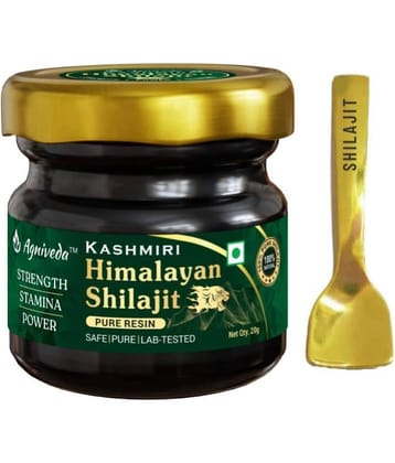 Agniveda Dietary Shake 20 gm ( Pack of 1 )