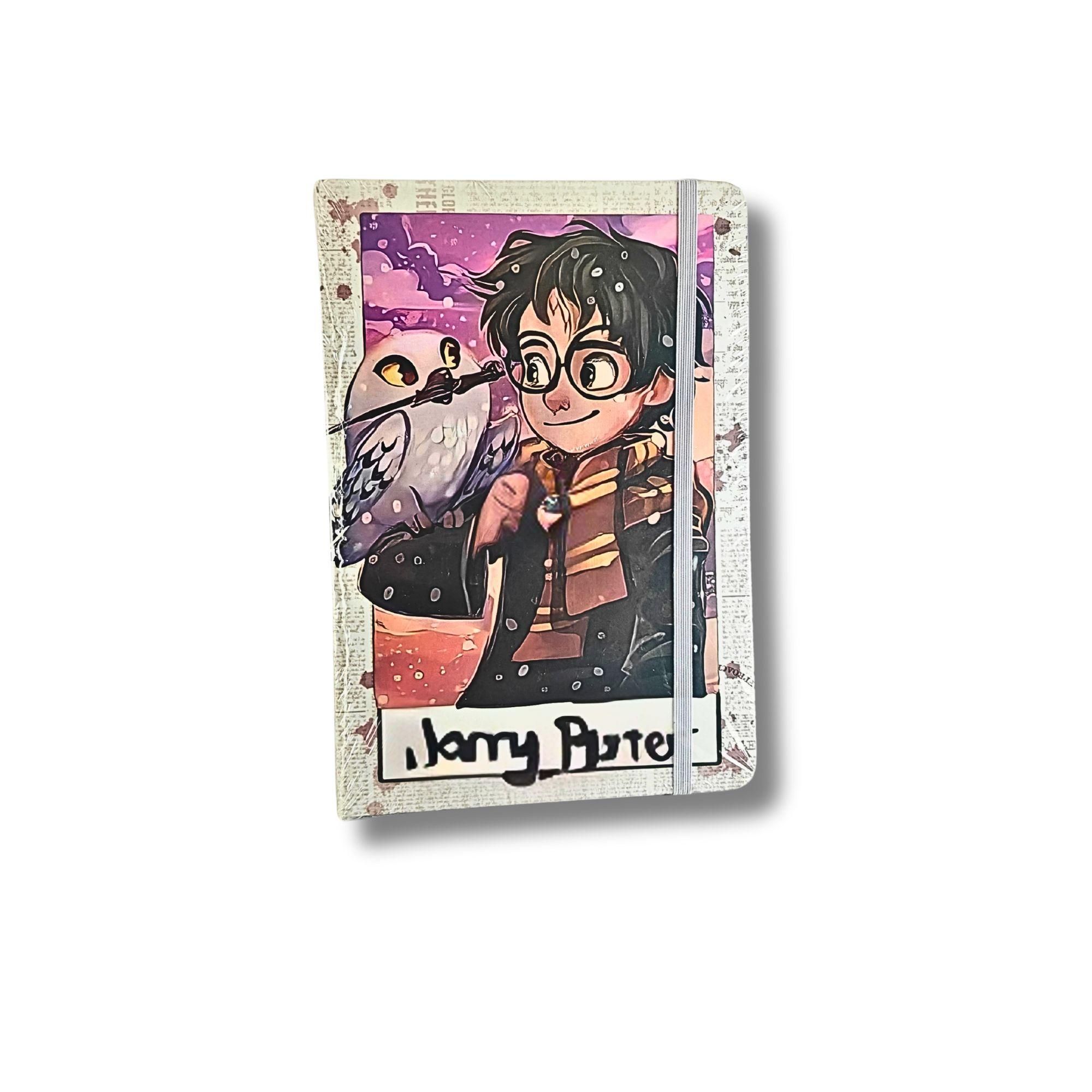 Harry Potter With Owl Diary MRP 249