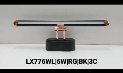 Mirror Light in Black Color