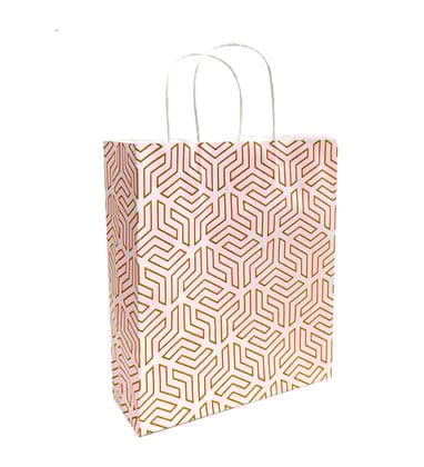 90 GSM Fluorescent Single Color Printed Small Paper Gift Bags, Ideal For Birthday Return Gifts & Gifting On Special Occasions (Orange, Size: 9.4 x 8.3 x 3 Inch) - 12 90 GSM Fluorescent Single Color Printed Small Paper Gift Bags, Ideal For Birthday Return Gifts & Gifting On Special Occasions (Orange, Size: 9.4 x 8.3 x 3 Inch) - 12