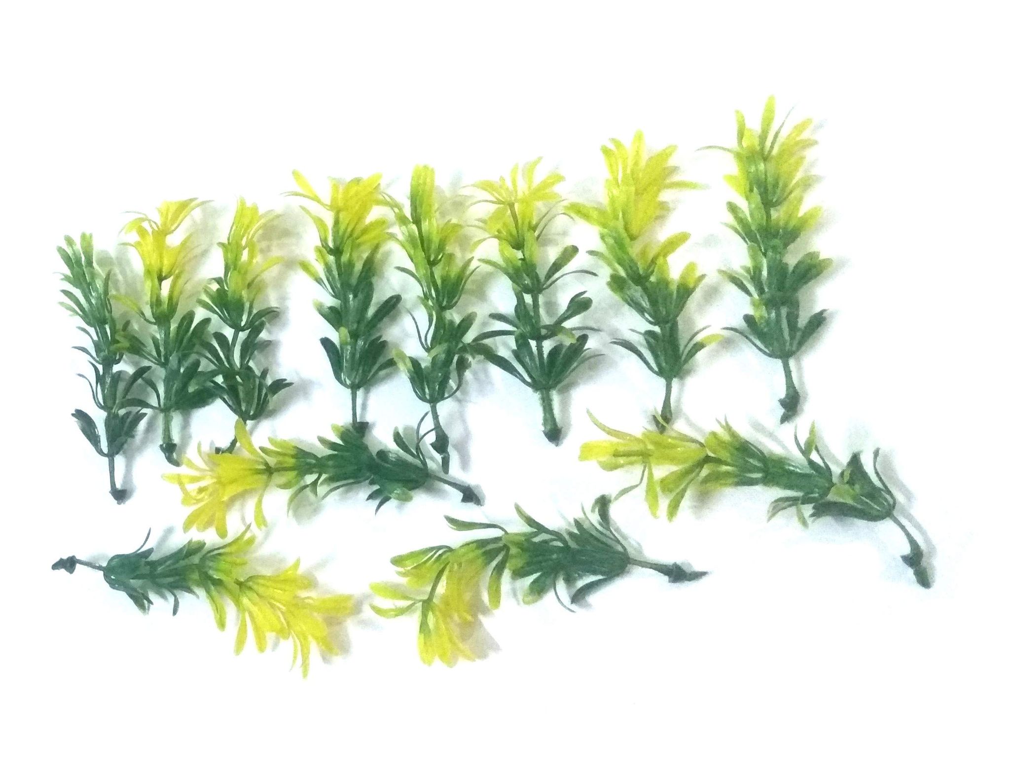 Nawani School Project Leaves 1 Packet (Around 50 Pic Leaves), Size 9/2 cm