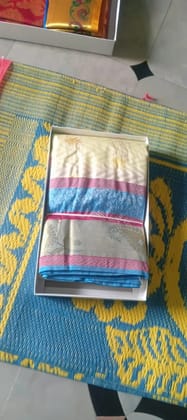 SAVITRI SAREES Elegant Drapes for Graceful Occasions