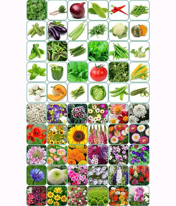 Aero Seeds Combo Pack Of 30 Varieties Flower Seeds 30 Varieties Vegetable Seeds