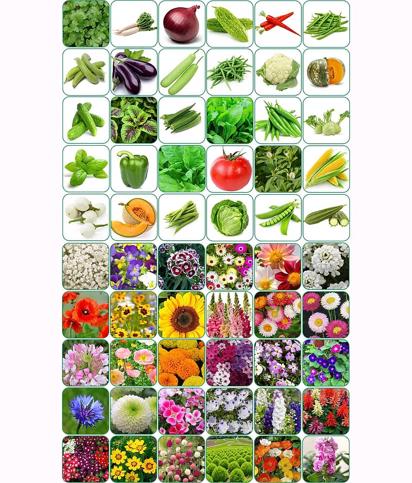 Aero Seeds Combo Pack Of 30 Varieties Flower Seeds 30 Varieties Vegetable Seeds