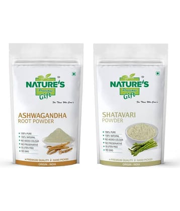Nature's Gift- Powder NA Ayurvedic (Pack of 2)