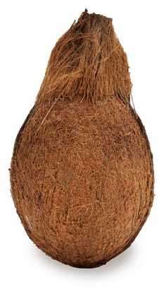 Coconut - 1 Pcs