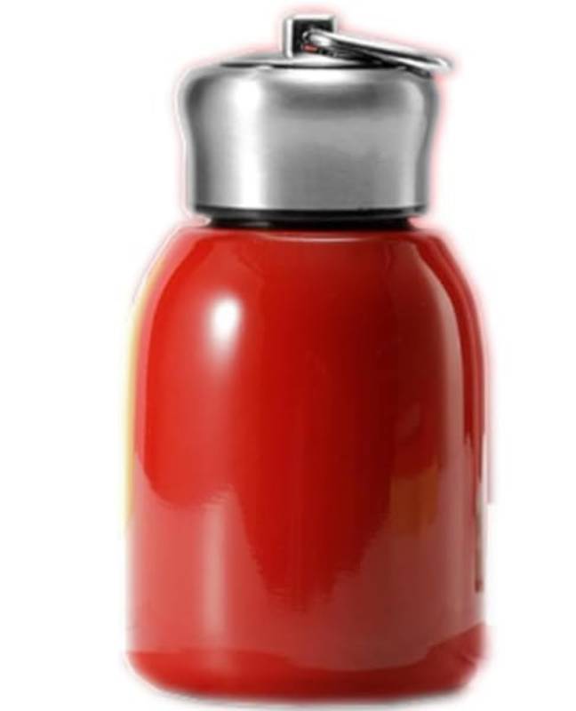 Insulated Stainless Steel Portable Water Bottle (Red, 500ml) | Leak-Proof Drinkware | Outdoor & Daily Hydration