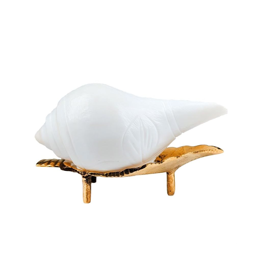 MAYAPURI Authentic Jal Shankh (Pani Shankha) with Brass Stand for Pooja Abhishekam - Pooja Needs | Buy online on ZillyBuy