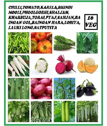 16 VEGETABLES HIGH GERMINATION SEEDS COMBO FOR HOME GARDENING MORE THAN 200 SEEDS PACK WITH USER MANUAL