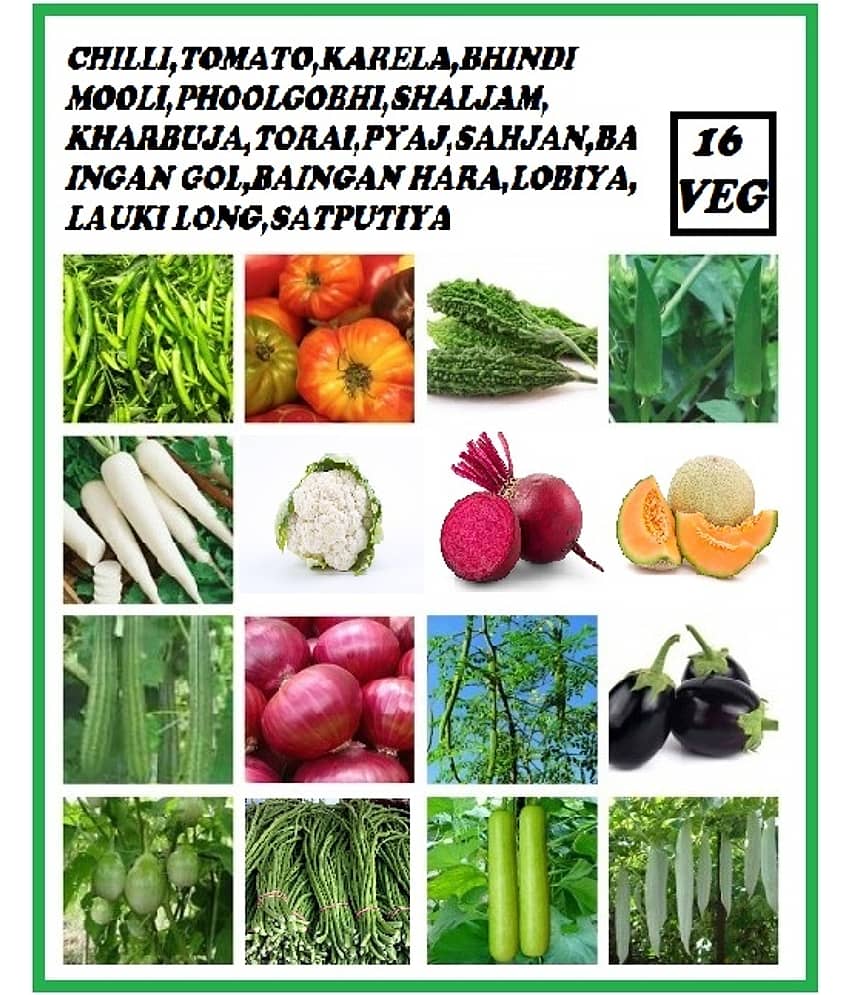 16 VEGETABLES HIGH GERMINATION SEEDS COMBO FOR HOME GARDENING MORE THAN 200 SEEDS PACK WITH USER MANUAL