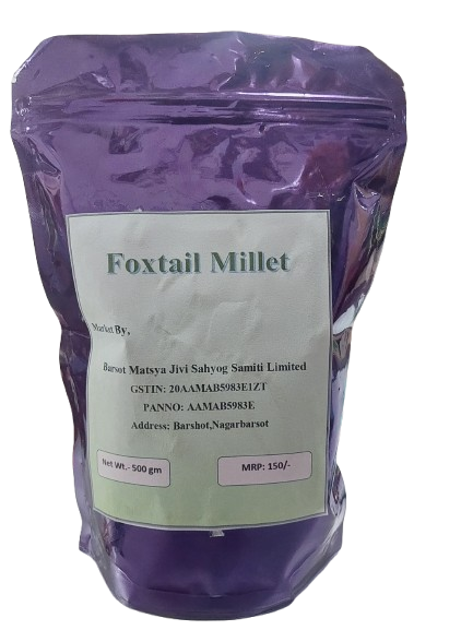 Millet Rice 