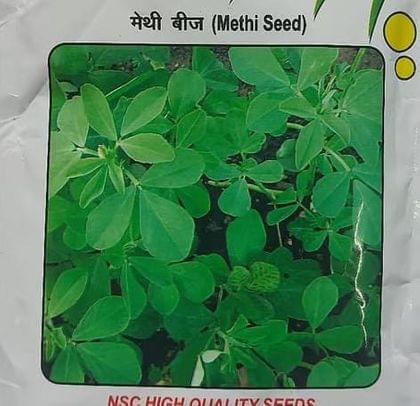 NSC High Quality Methi Seeds (Fenugreek Seeds)