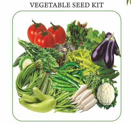 NSC Vegetable Kitchen Garden Seed Kit